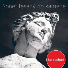Sonet tesaný do kamene