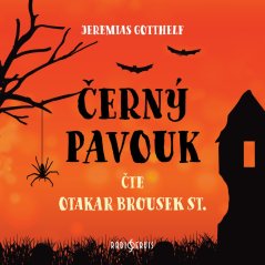 Černý pavouk