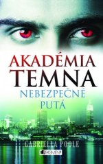 Akadémia temna 2 - Nebezpečné putá